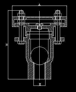 사진 11